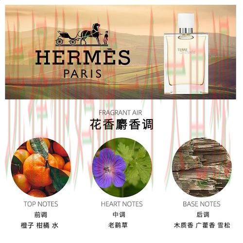 亚盈体育登录链接官方网站入口