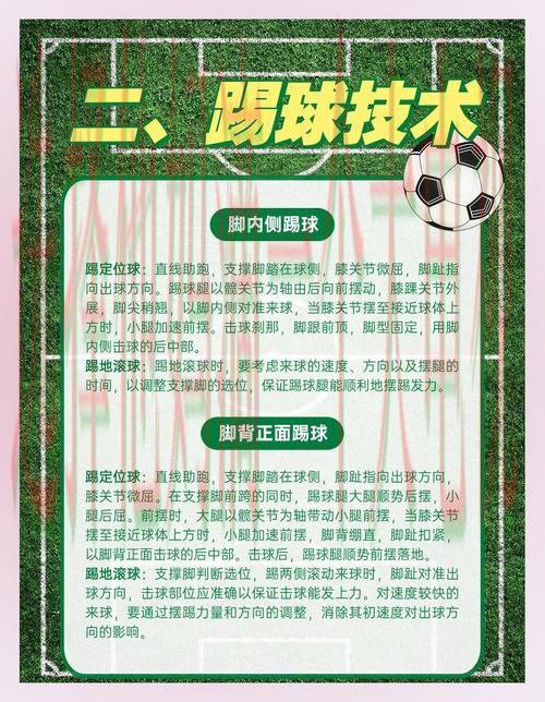 免费下载博雅体育APP的步骤详解 免费下载博雅体育APP的步骤详解